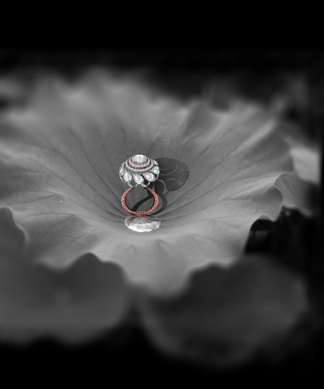 Ring on an lotus leafe